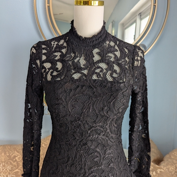Alexis Fala Lace Dress - Picture 2 of 8